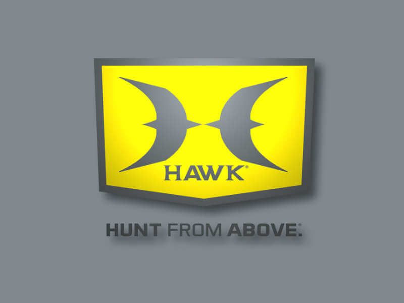 Hawk: Hunt From Above logo on grey background